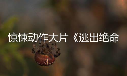 布首命街告暂译支预逃动作大片惊悚出绝发
